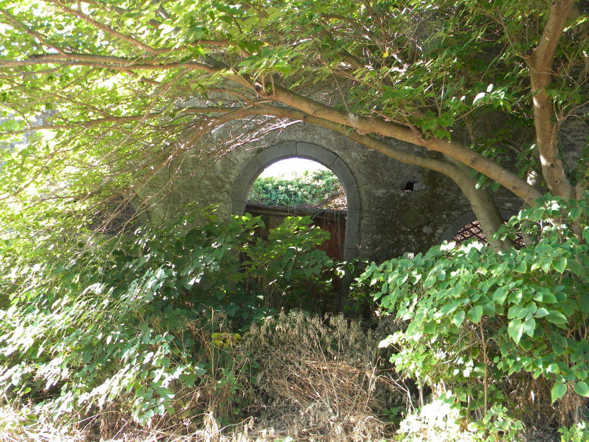 DSCN8051 .JPG